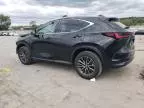 2024 Lexus NX 250 Base