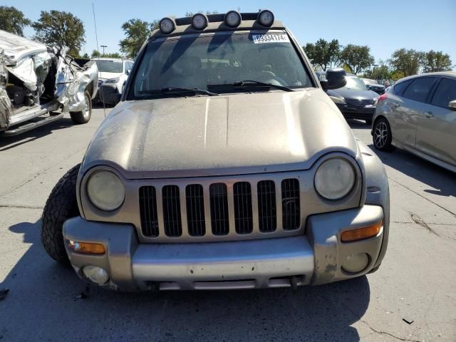 2003 Jeep Liberty Renegade