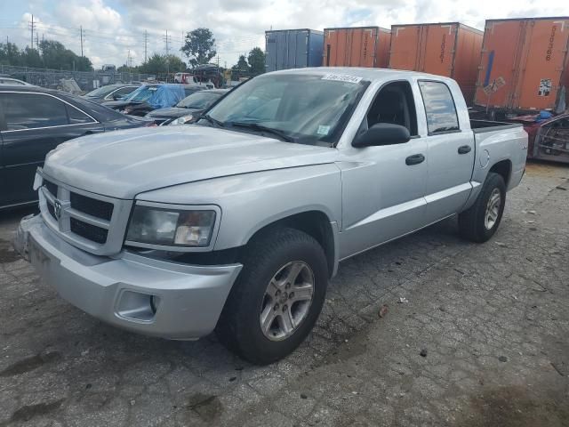 2010 Dodge Dakota SXT