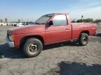 1989 Nissan D21 Short BED