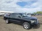 2011 Dodge Dakota SLT