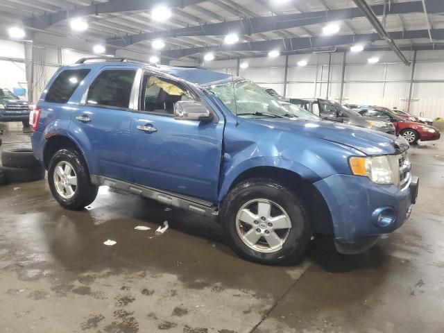 2009 Ford Escape XLT