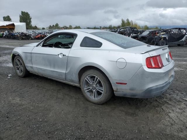 2010 Ford Mustang