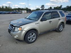 Salvage cars for sale at Bridgeton, MO auction: 2010 Ford Escape XLT