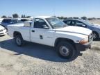 1999 Dodge Dakota