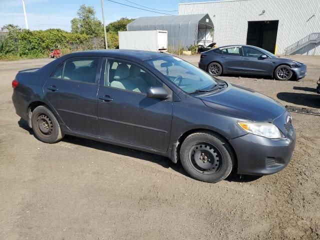 2009 Toyota Corolla Base