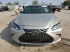 2021 Lexus ES 250 Base