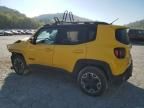 2015 Jeep Renegade Trailhawk