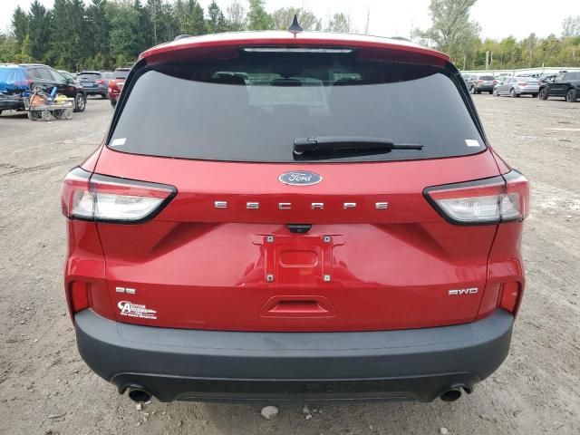 2021 Ford Escape SE