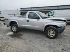 2004 Dodge Dakota SXT