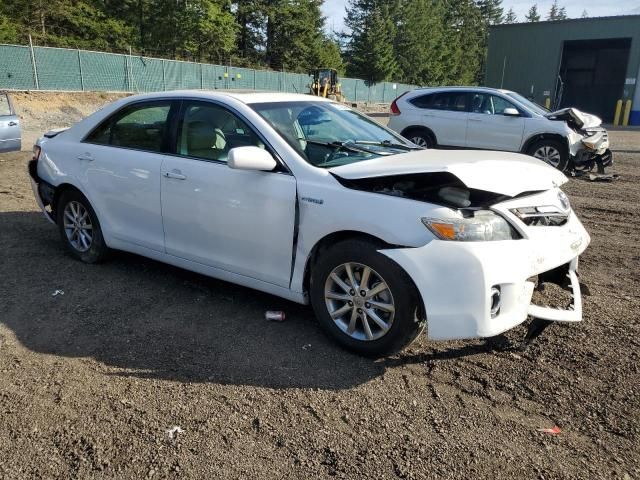 2010 Toyota Camry Hybrid