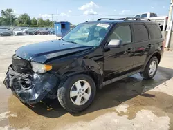 2010 Ford Escape XLT en venta en Lawrenceburg, KY