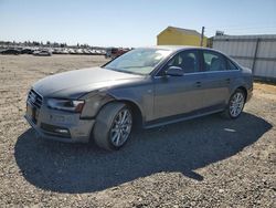 Audi Vehiculos salvage en venta: 2015 Audi A4 Premium