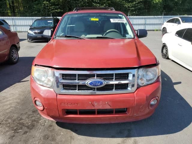 2012 Ford Escape XLT