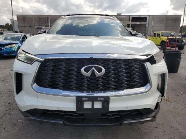 2023 Infiniti QX60 Autograph