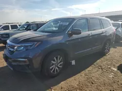 Salvage cars for sale at Brighton, CO auction: 2022 Honda Pilot EXL