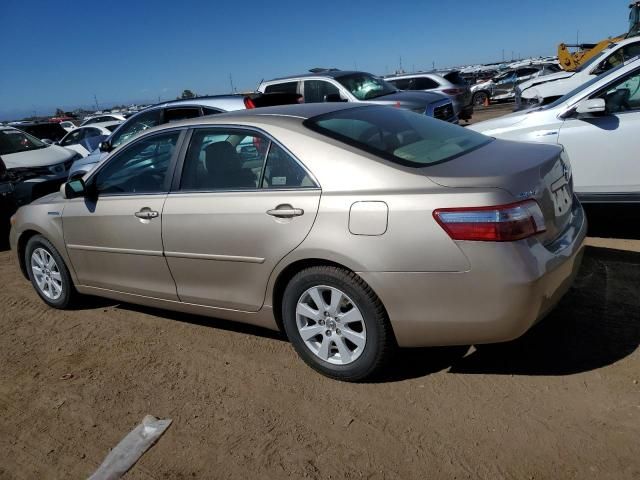 2008 Toyota Camry Hybrid