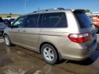 2006 Honda Odyssey EXL