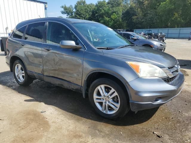 2010 Honda CR-V EXL