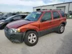 2006 Ford Escape XLT