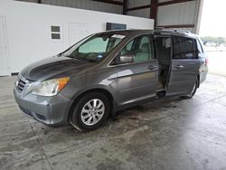 Salvage cars for sale at Wilmer, TX auction: 2008 Honda Odyssey EXL