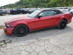 Salvage cars for sale at Hurricane, WV auction: 2010 Ford Mustang