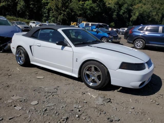 2001 Ford Mustang Cobra SVT