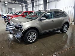 Salvage cars for sale at Ham Lake, MN auction: 2014 Ford Edge Limited