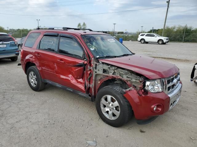 2010 Ford Escape Limited