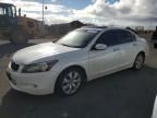 2008 Honda Accord EXL