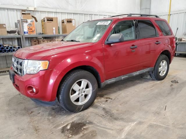 2009 Ford Escape XLT