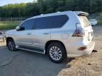 2010 Lexus GX 460 Premium