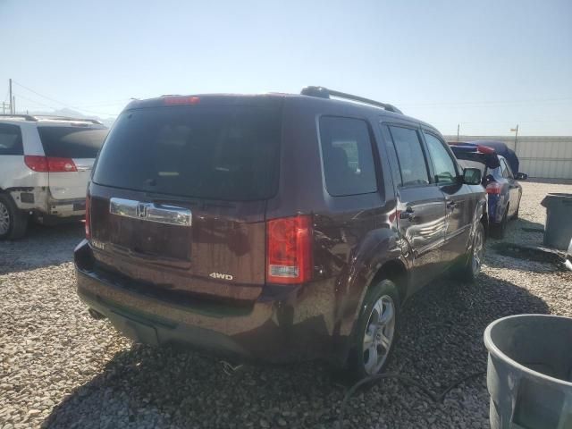 2013 Honda Pilot EXL