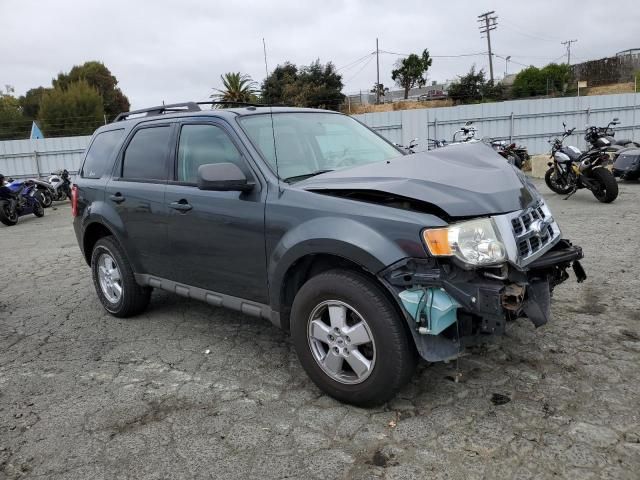 2009 Ford Escape XLT