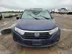 2022 Honda Odyssey EXL