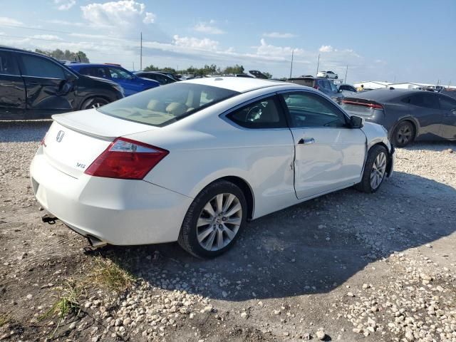 2009 Honda Accord EXL