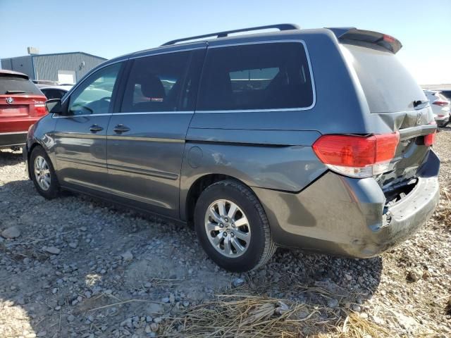 2010 Honda Odyssey EXL