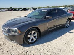 Dodge salvage cars for sale: 2014 Dodge Charger SE