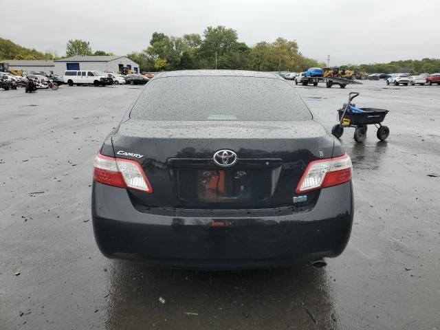 2009 Toyota Camry Hybrid