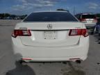 2009 Acura TSX