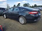 2014 Ford Fusion SE Hybrid