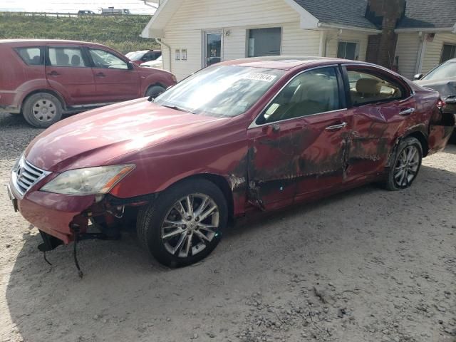 2010 Lexus ES 350