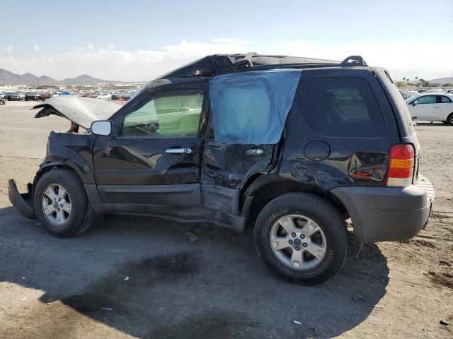 2007 Ford Escape XLT