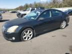 2004 Nissan Maxima SE