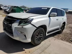 Salvage cars for sale at Phoenix, AZ auction: 2021 Lexus GX 460 Premium