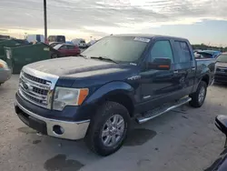 Ford salvage cars for sale: 2013 Ford F150 Supercrew