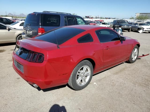 2013 Ford Mustang