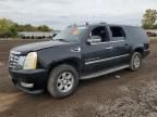 2007 Cadillac Escalade ESV