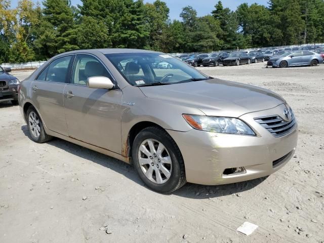 2007 Toyota Camry Hybrid