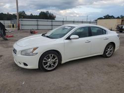 2014 Nissan Maxima S en venta en Newton, AL